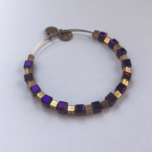 RETIRED🌟Mulberry Trailblazer